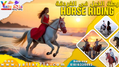 حجز رحلة الخيل فى الغردقة