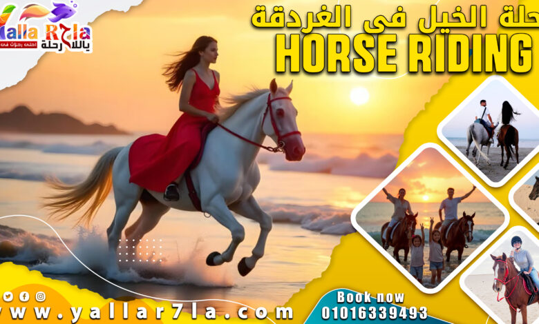 حجز رحلة الخيل فى الغردقة