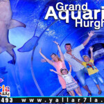 رحلة الاكواريوم