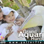 اكواريوم الغردقة