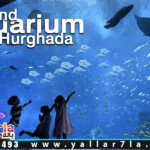 جراند اكواريوم