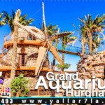 رحلة اكواريوم الغردقة