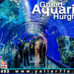 سعر اكواريوم الغردقة