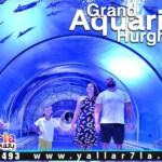 اسعار اكواريوم الغردقة