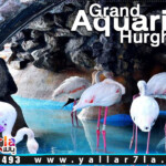 جراند اكواريوم