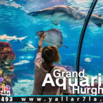 hurghada grand aquarium