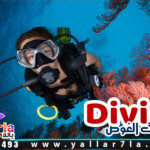 حجز رحلة الغطس في الغردقة