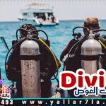 اسعار رحلات الغوص