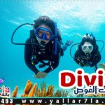 رحلات الغوص