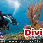 رحلات الغطس