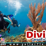 رحلات الغطس