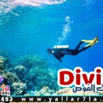 رحلات الغطس في الغردقة
