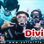 رحلات الغوص في الغردقة