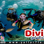 hurghada diving