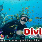diving hurghada