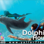 سنوركلنج الغردقة