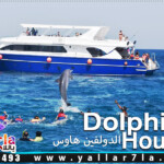 رحلات البحر