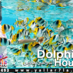 الرحلة البحرية في الغردقة