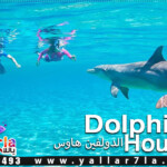 رحلات البحر