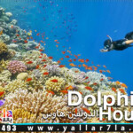 الرحلات البحريه في الغردقة