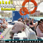 بانوراما مكادي