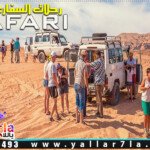 رحلات الجيب والسفاري في الغردقة