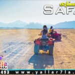 البيتش باجي